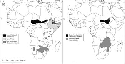 Time to Move On: The Role of Greenness in Africa and Temperatures at a Mediterranean Stopover Site in Migration Decision of Long-Distance Migratory Passerines